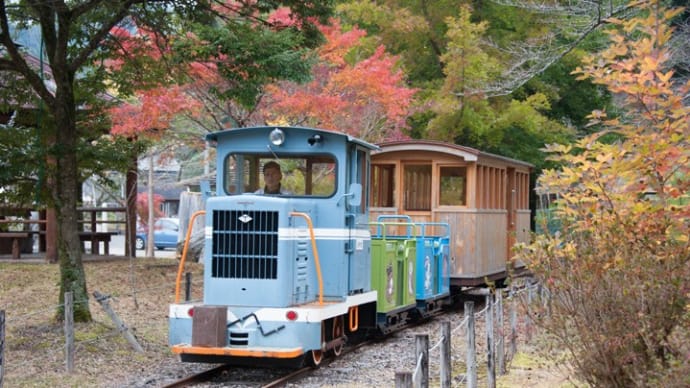 Diesel Locomotive#466
