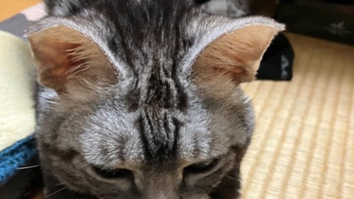 一気に・・