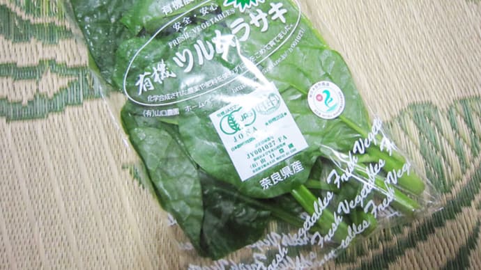 夏野菜☆ツルムラサキ