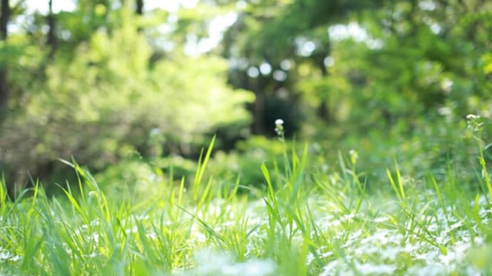女の子は、いつの時代も悩みながら生きてきた・モダンガール論③