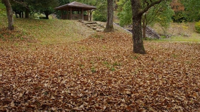 イチョウの落葉が二上山登山道を染めていた