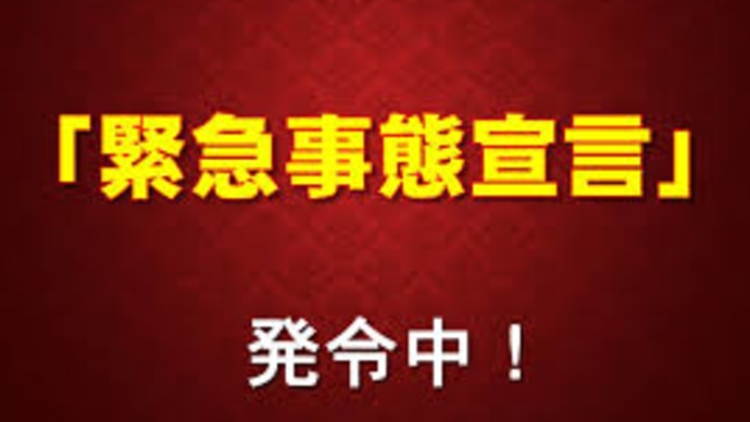 医療崩壊の虚実―再度の緊急事態宣言に接して