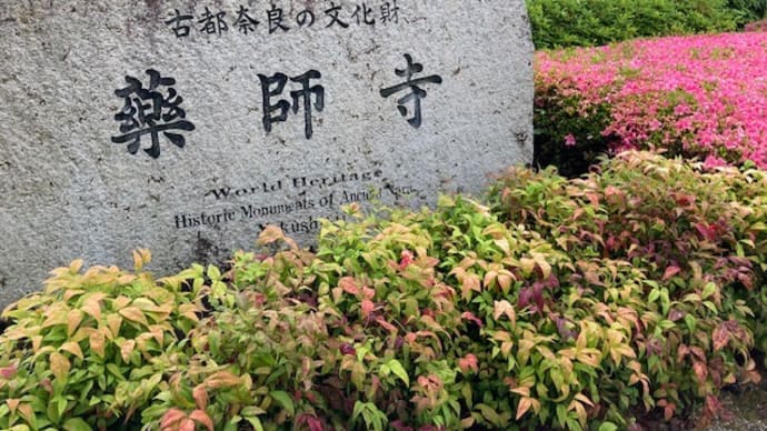 研修の前入りで奈良観光(1):薬師寺