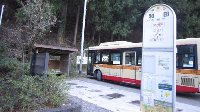 R1.12.28 令和元年の最後は陣馬から高尾への縦走 (28日その1)
