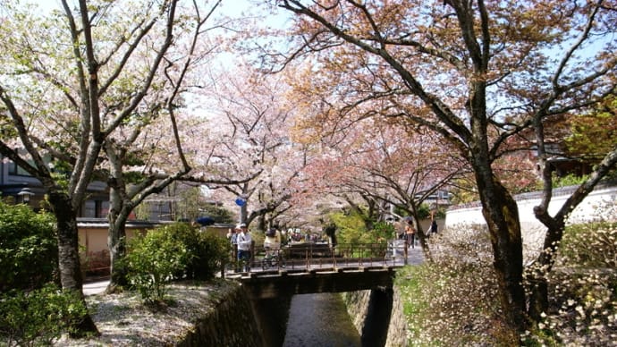 京都写真（小川）
