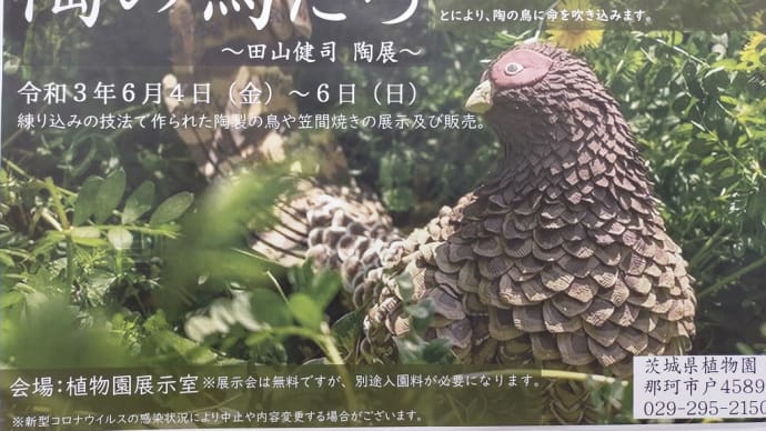 展示会、茨城県植物園展示室