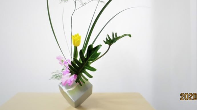 オキナワシャガの線・クッカバラの面・・自由花・チューリプと面白く