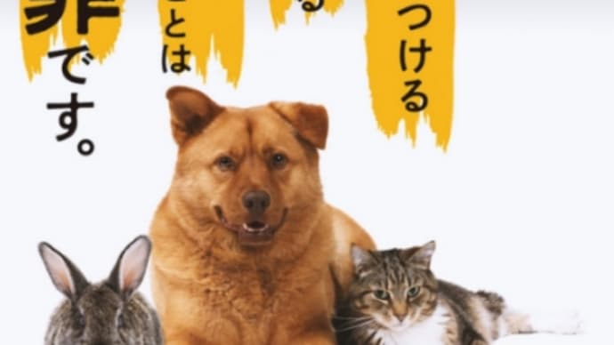 動物虐待厳罰化 無償ポスター配布