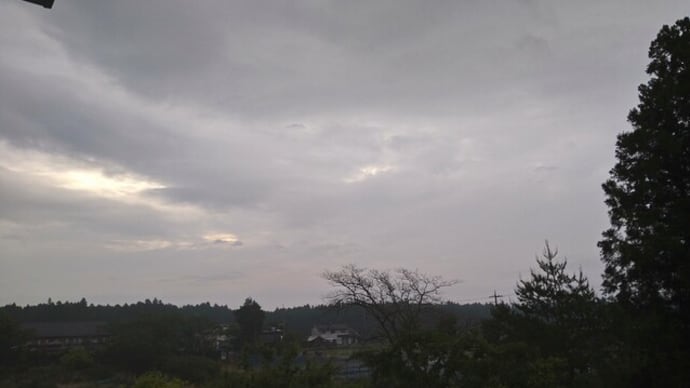 花を挿した伊万里焼の器の空
