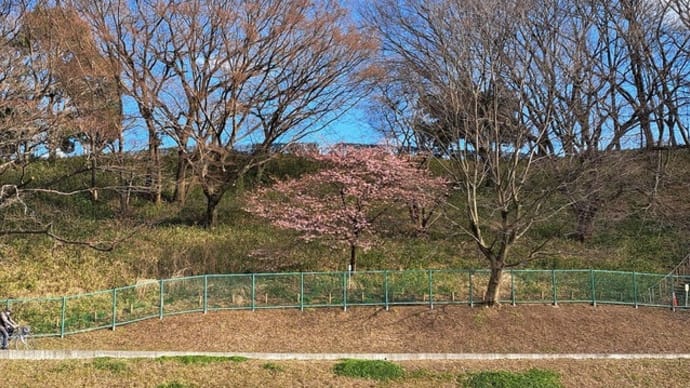 水温む気配
