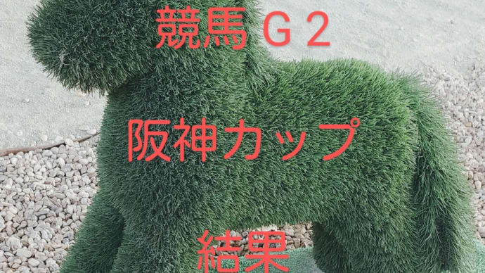 競馬G2 阪神カップを振り返る 馬券の結果