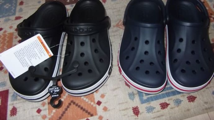 CROCS来たー(^_^)v
