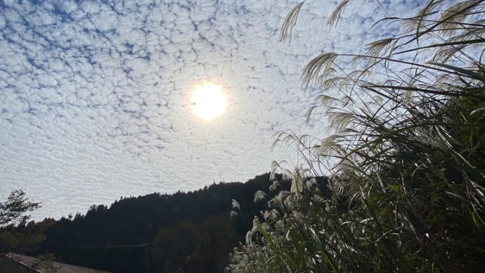 秋空〜🌰🌾🍁🍂🍃〜🥳🎶