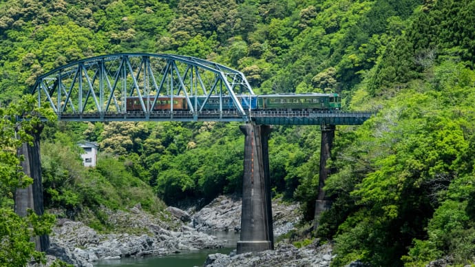 大歩危峡を渡る列車