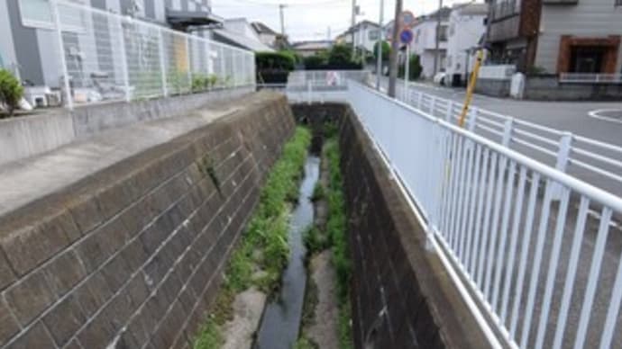 2023神奈川河川ポタリング『宇田川』⑥水源⑴御霊神社