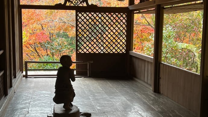 速報 京都「三尾三山」の🍁が見頃です。