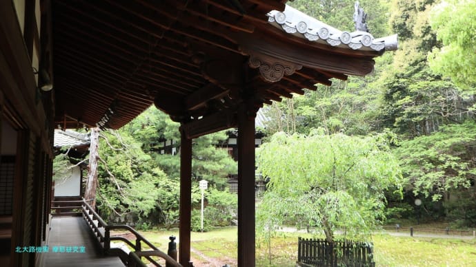 【京都幕間旅情】青蓮院,庭園の緑から読み解く気候変動による温暖化と国際関係への不協和音