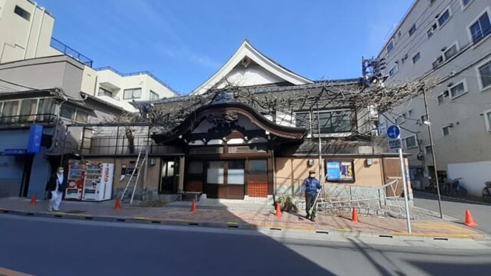 浅草「曙湯」藤棚の剪定