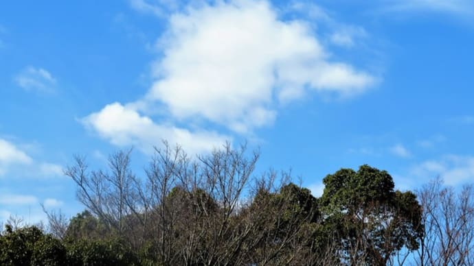 いろいろな雲が浮かんでた~♪