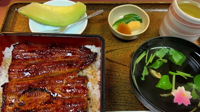 うなぎを食べて小笠山