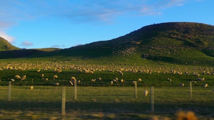 NZの風景