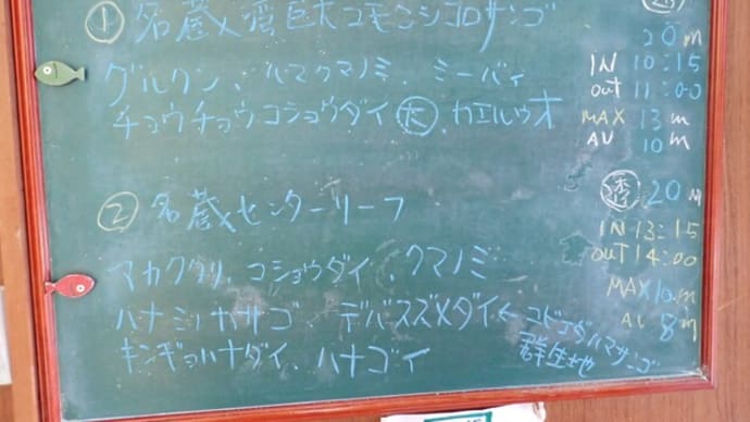 20230428ダイビングログ