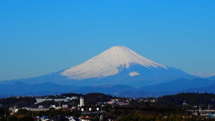 朝散歩で観る早春の富士