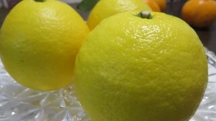 これって! おかわりの合図? + 日向夏の食べ方♪