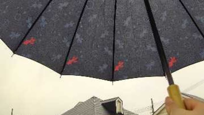 体重測定51&雨でも気分は?