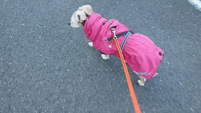 春が来るまでもう少し