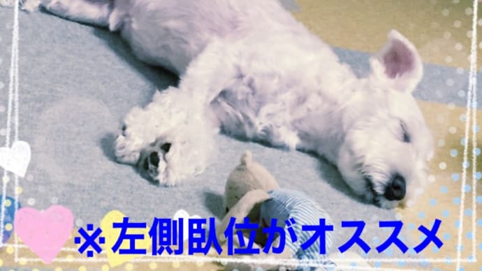 自律神経を整える呼吸=『腹式呼吸』😃お試しください🍀