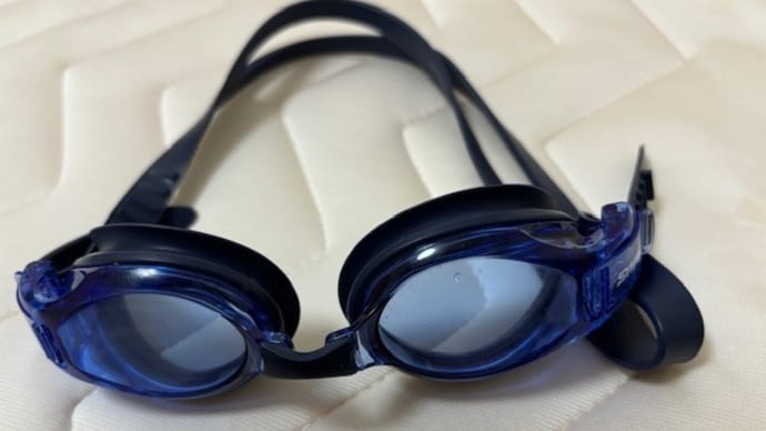 昨日はフワァフワァ眩暈で家事以外はゴロン