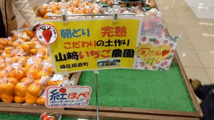 ピックアップ：千葉市のイチゴ直売所「山崎農園さん」の情報です！【2024年ver】