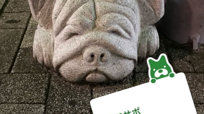 実はピアサポやってます