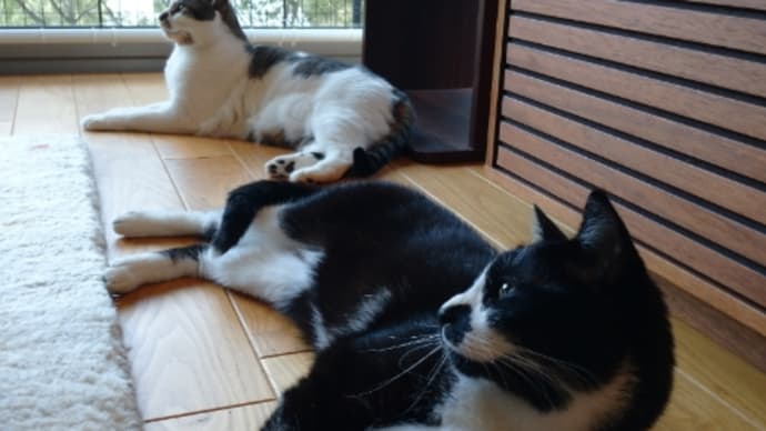 迷い道ぐるぐる