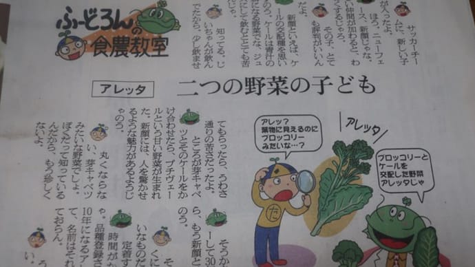 アレッタ♪