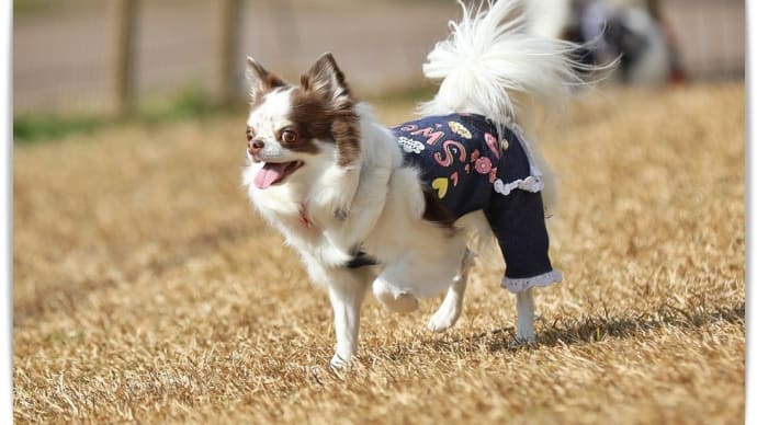 疲れたら休む。。。理想的だわ😊