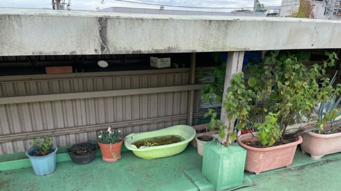台風の準備