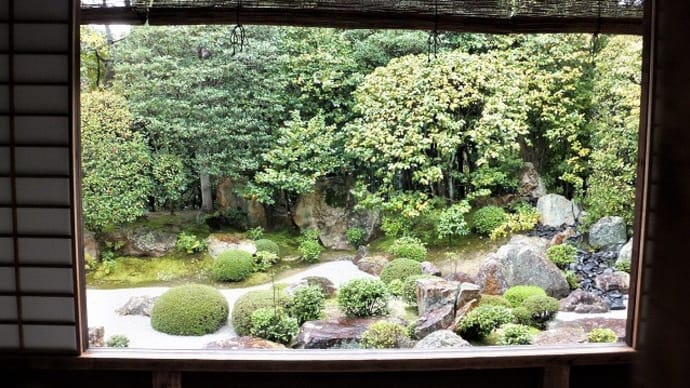 妙心寺退蔵院へ行きました