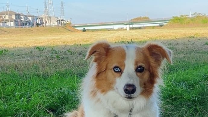 昼間暑かったね!夕方も熱かったで!