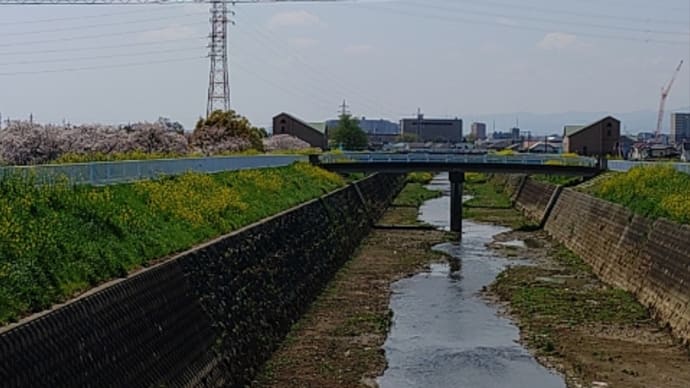 恋は恋
