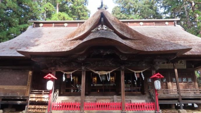 熊野大社の大銀杏