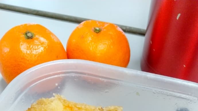 残飯整理的な昼ごはん