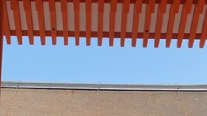 研修会の朝