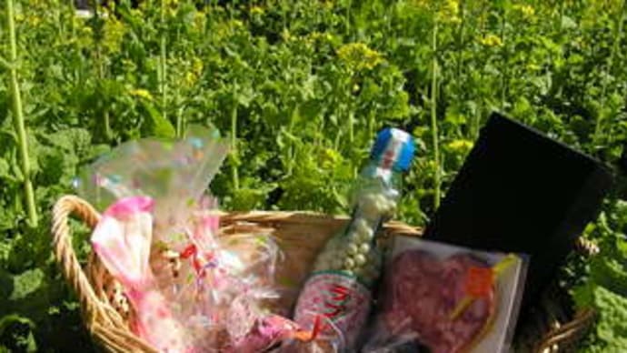 菜の花と戦利品
