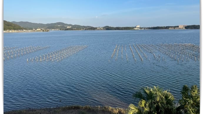 2023年11月10日の浜名湖夕食🍺🥢
