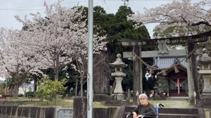 ⭐︎お花見へ 2日目⭐︎