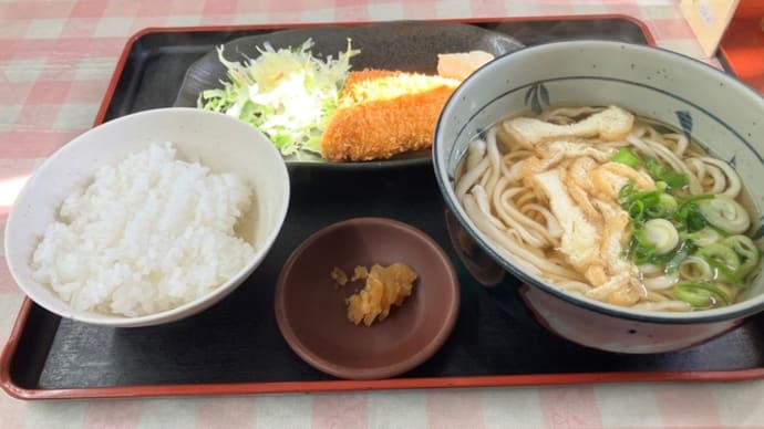 鳴ちゅるうどん