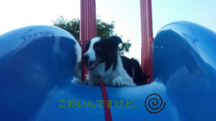 すべりだい、シュー!