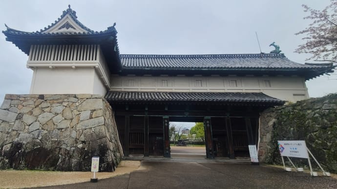 2023.04.06 佐賀城